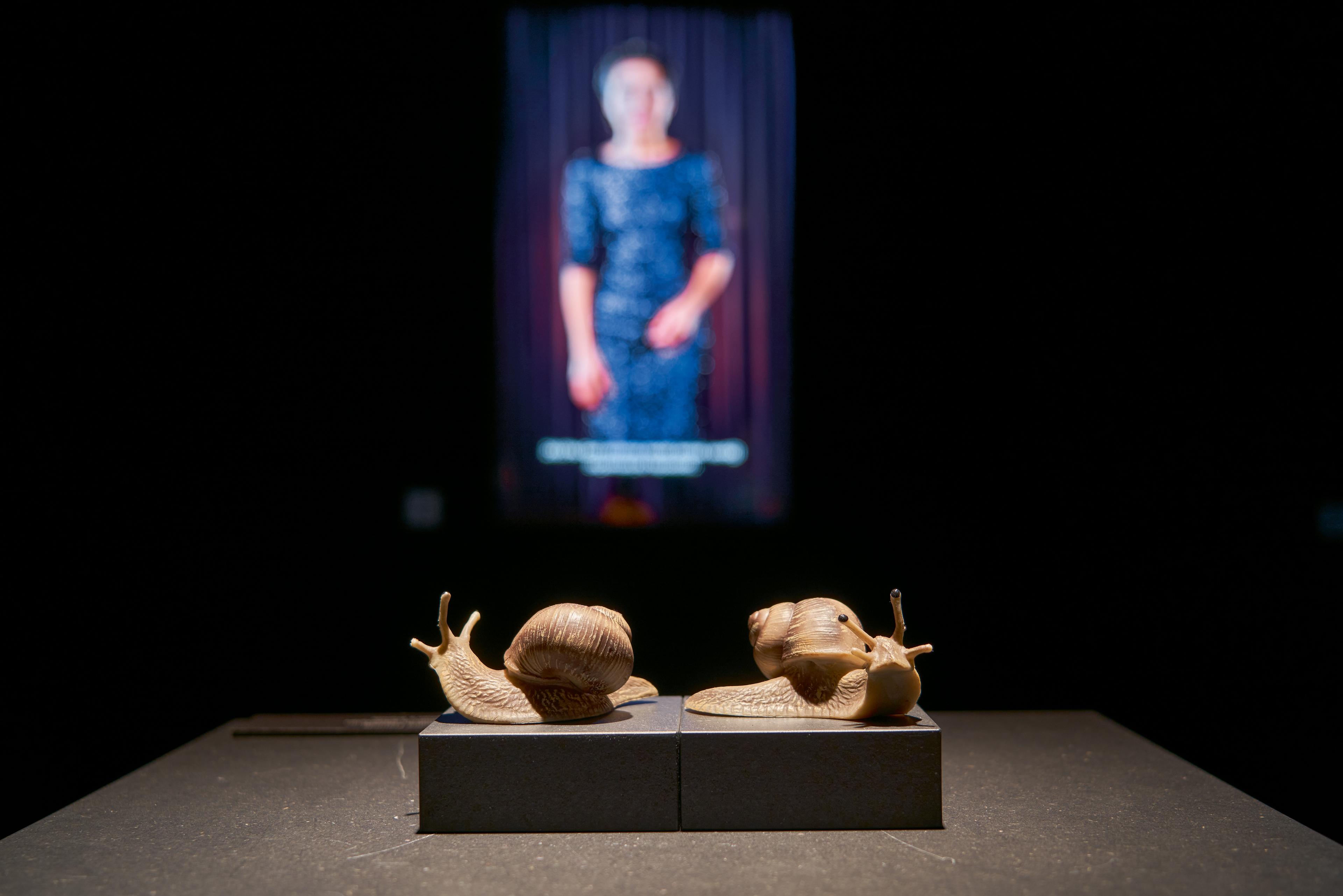 5. Berliner Herbstsalon – stronger still (2021) – museum of small things von Can Dündar und Hakan Savaş Mican